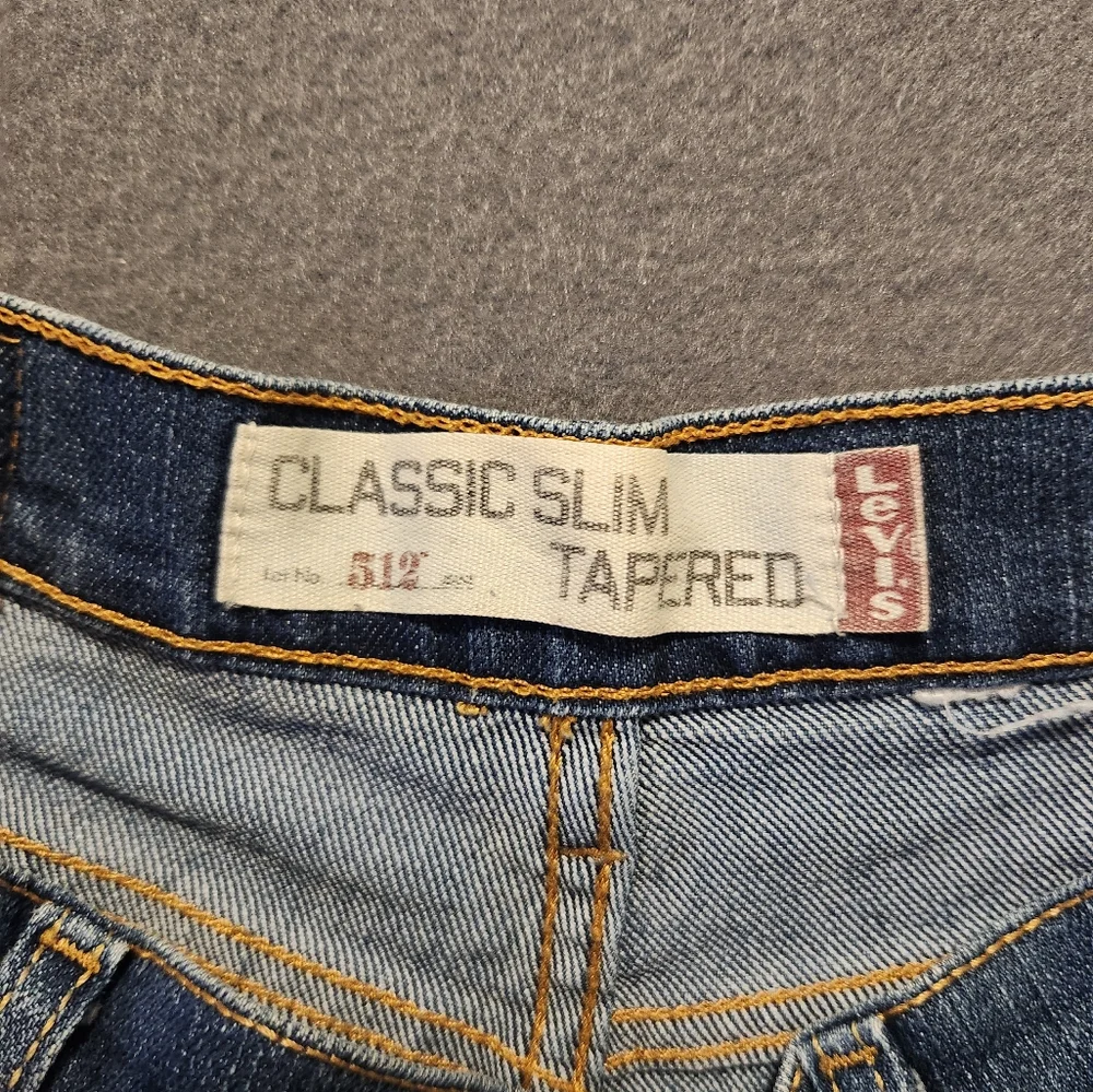 Levi Size 28x29 Blue